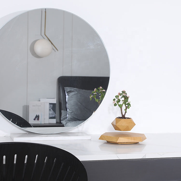 Levitating Pot Plant