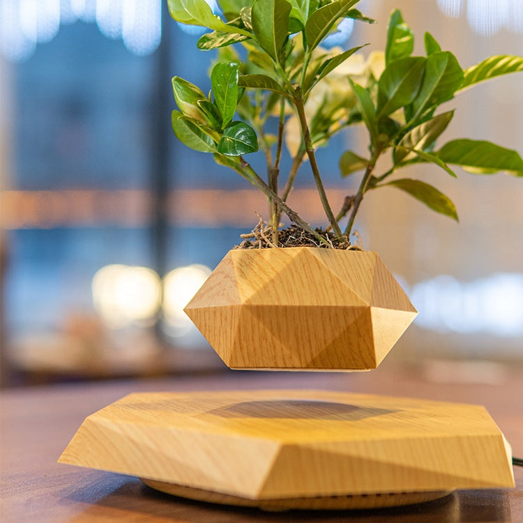 Levitating Pot Plant