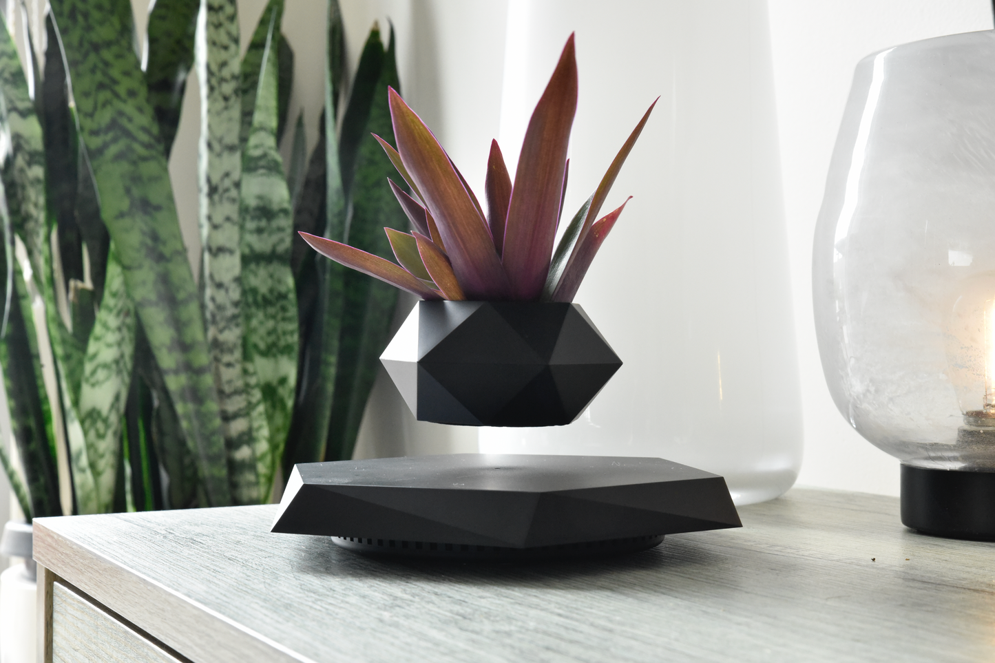Levitating Pot Plant