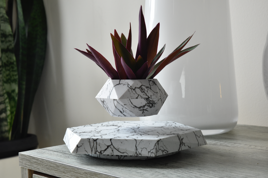 Levitating Pot Plant