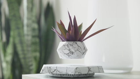 Levitating Pot Plant